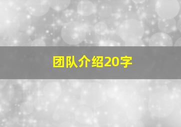 团队介绍20字