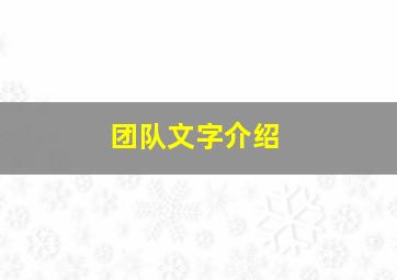 团队文字介绍