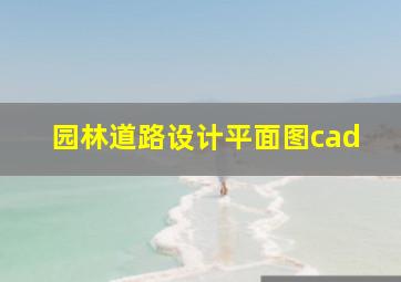 园林道路设计平面图cad