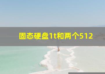 固态硬盘1t和两个512