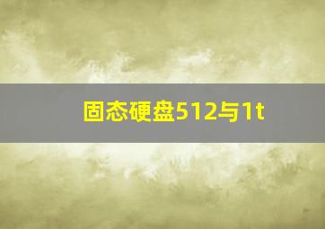 固态硬盘512与1t