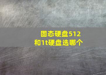 固态硬盘512和1t硬盘选哪个