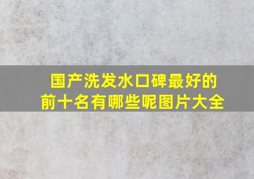 国产洗发水口碑最好的前十名有哪些呢图片大全