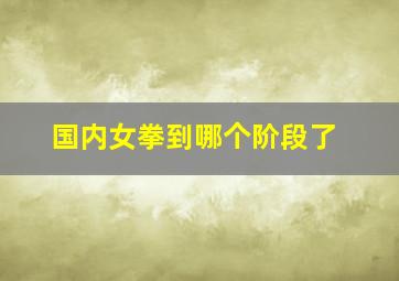 国内女拳到哪个阶段了