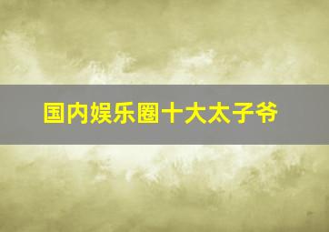 国内娱乐圈十大太子爷