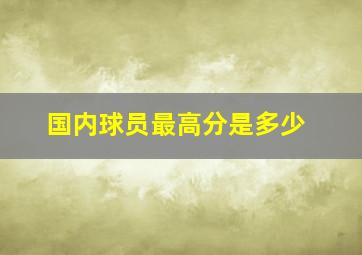 国内球员最高分是多少