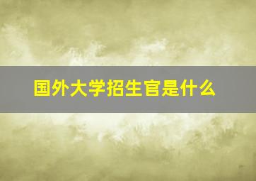 国外大学招生官是什么