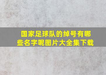 国家足球队的绰号有哪些名字呢图片大全集下载