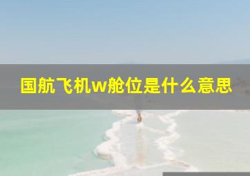 国航飞机w舱位是什么意思