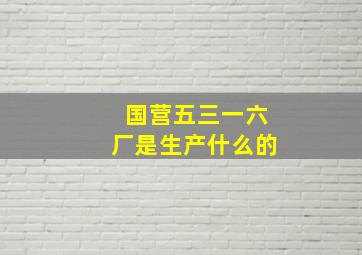 国营五三一六厂是生产什么的