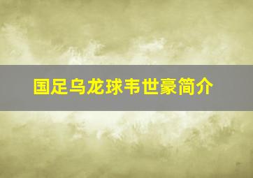 国足乌龙球韦世豪简介