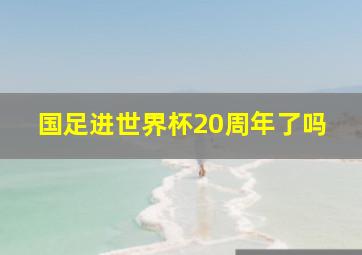 国足进世界杯20周年了吗