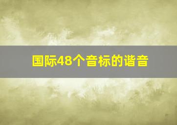 国际48个音标的谐音