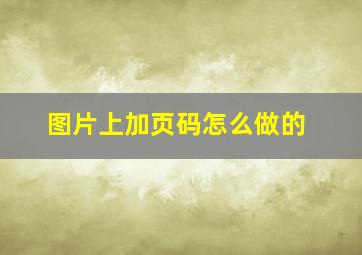 图片上加页码怎么做的