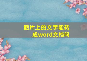 图片上的文字能转成word文档吗