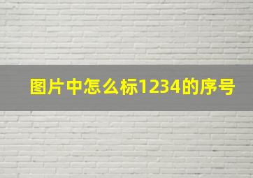 图片中怎么标1234的序号