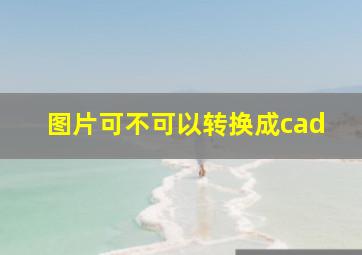 图片可不可以转换成cad