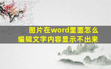 图片在word里面怎么编辑文字内容显示不出来