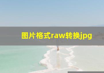 图片格式raw转换jpg