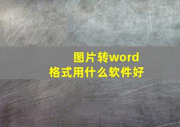 图片转word格式用什么软件好