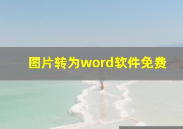 图片转为word软件免费