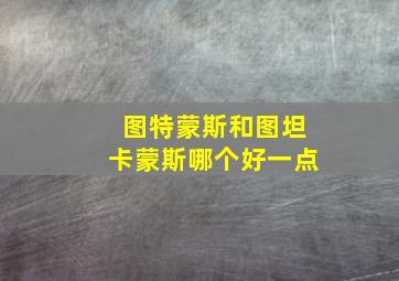 图特蒙斯和图坦卡蒙斯哪个好一点