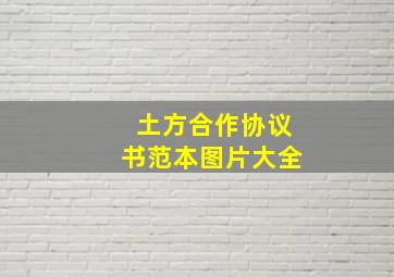 土方合作协议书范本图片大全