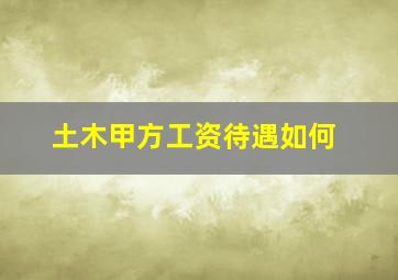 土木甲方工资待遇如何