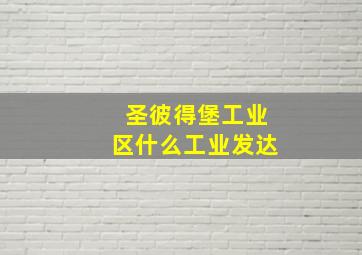 圣彼得堡工业区什么工业发达