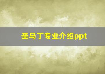 圣马丁专业介绍ppt