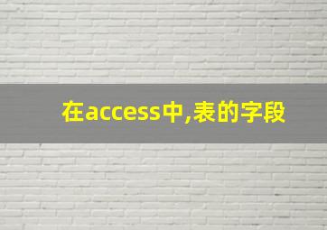 在access中,表的字段