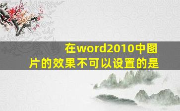 在word2010中图片的效果不可以设置的是