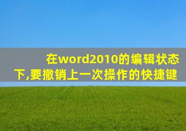 在word2010的编辑状态下,要撤销上一次操作的快捷键