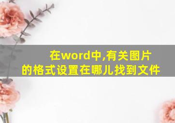 在word中,有关图片的格式设置在哪儿找到文件