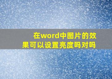 在word中图片的效果可以设置亮度吗对吗