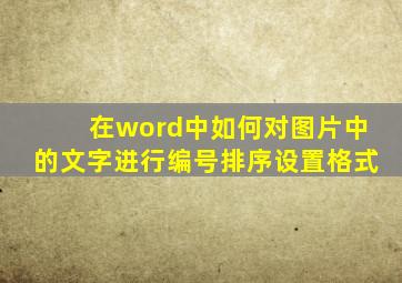 在word中如何对图片中的文字进行编号排序设置格式