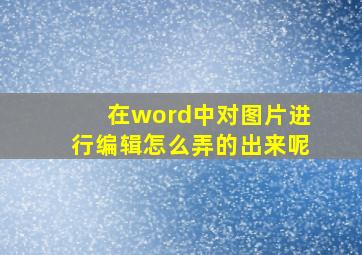 在word中对图片进行编辑怎么弄的出来呢