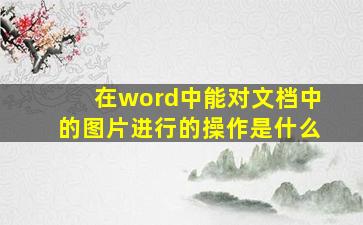 在word中能对文档中的图片进行的操作是什么