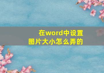 在word中设置图片大小怎么弄的