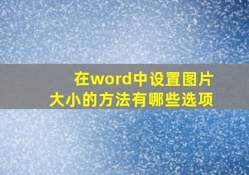 在word中设置图片大小的方法有哪些选项