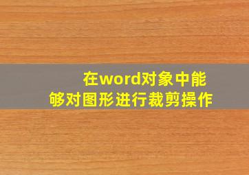 在word对象中能够对图形进行裁剪操作