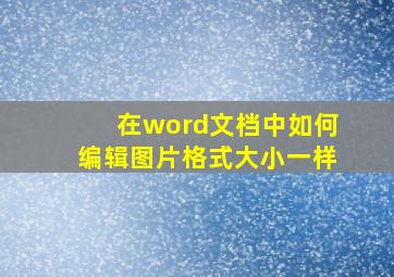 在word文档中如何编辑图片格式大小一样