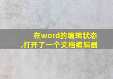 在word的编辑状态,打开了一个文档编辑器