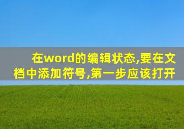 在word的编辑状态,要在文档中添加符号,第一步应该打开