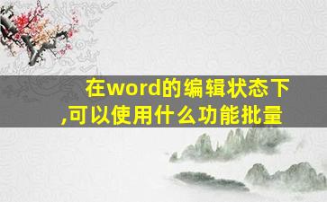 在word的编辑状态下,可以使用什么功能批量