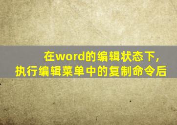 在word的编辑状态下,执行编辑菜单中的复制命令后