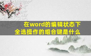 在word的编辑状态下全选操作的组合键是什么