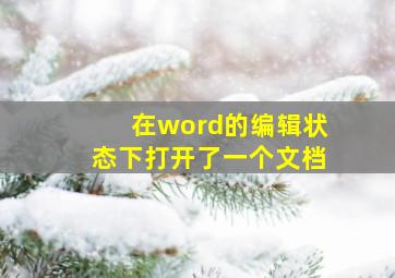 在word的编辑状态下打开了一个文档