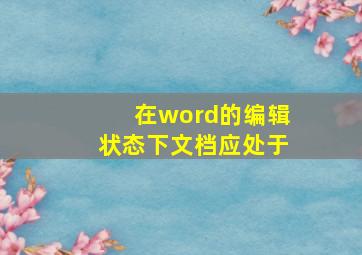 在word的编辑状态下文档应处于