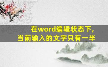 在word编辑状态下,当前输入的文字只有一半